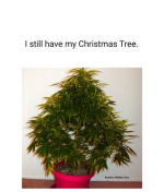 1741025298051.png