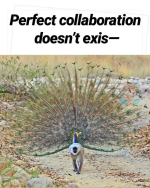 1741026183174.png
