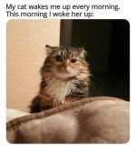 1741125252693.png