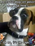 1741191145845.png
