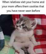 1741208996136.png