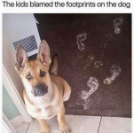 1741286789233.png