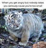 1741287024110.png