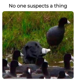 1741291484306.png