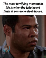 1741291664330.png