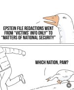 1741419347325.jpeg