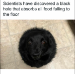 1741543087446.png