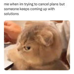 1741642109211.png