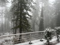 IMG_3024.jpeg