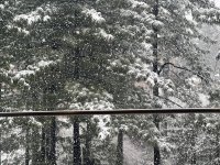 IMG_3016.jpeg