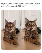 1741726907591.png