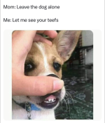 1741727014911.png