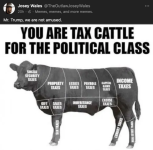 1741728851459.png