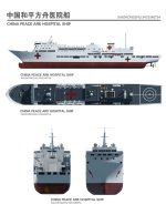 中国（和平方舟号）与美国（仁慈号）_1_莯岚星图_来自小红书网页版.jpg