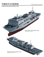 中国（和平方舟号）与美国（仁慈号）_2_莯岚星图_来自小红书网页版.jpg