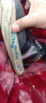 IMG_3419.jpeg