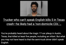 1742443533262.png