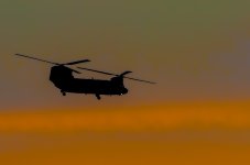 OutNAbout-4945.jpg