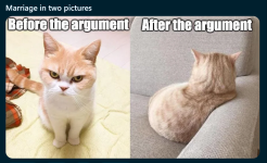 1743117547243.png