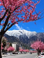 林芝街头的一角_1_芝畔林_来自小红书网页版.jpg
