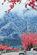 林芝街头的一角_3_芝畔林_来自小红书网页版.jpg