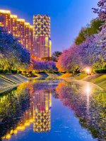 4.9手机拍摄「望京·海棠水岸」夜景太美了_1_周末皮皮虾_来自小红书网页版.jpg