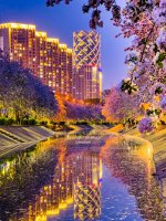 4.9手机拍摄「望京·海棠水岸」夜景太美了_2_周末皮皮虾_来自小红书网页版.jpg