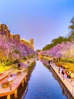 4.9手机拍摄「望京·海棠水岸」夜景太美了_3_周末皮皮虾_来自小红书网页版.jpg