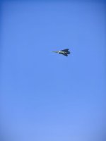 IMG_2117.jpeg