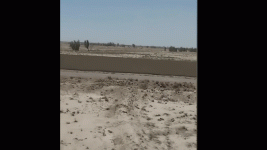RDT_20250413_192618_1.gif