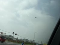 IMG_2153.jpeg