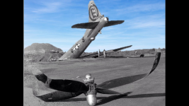 1744902509546.png
