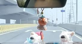 whut.png