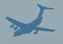 IMG_2168.jpeg