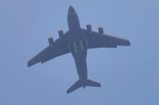 IMG_2165.jpeg
