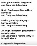 1745374994695.jpeg