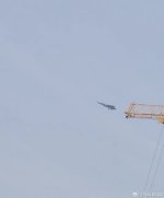 IMG_2172.jpeg