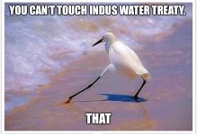 IMG_6722.jpeg