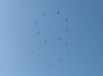 9f519e8bgy1i0t3d0a0ukj20vj0nbwnf.jpg