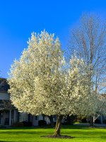 OutNAbout-0818.jpg