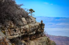 OutNAbout-5108.jpg