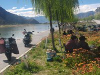 旅居拉萨的14天.重在参与沐浴节_5_萨亚 碎碎念念的生活_来自小红书网页版.jpg