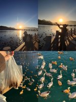 波光粼粼的拉萨河·闲逛好去处💎🦢🏞️🦆_2_Jane.W（分享版）_来自小红书网页版.jpg