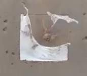 1746387675273.png