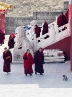 在色达东噶寺看到超有爱的一幕🙏_1_小满爱旅行_来自小红书网页版.jpg