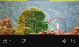 1746587055515.png