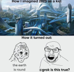 1746702088768.png