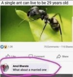 1746738299188.jpeg