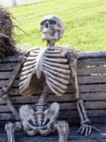 1746749812864.gif
