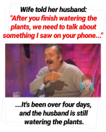 1746822486428.png